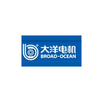 大洋電機(jī)